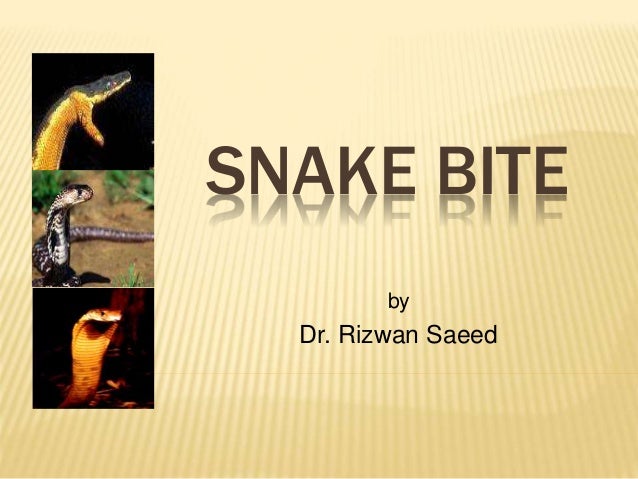 Anaconda Snake Bite Kit