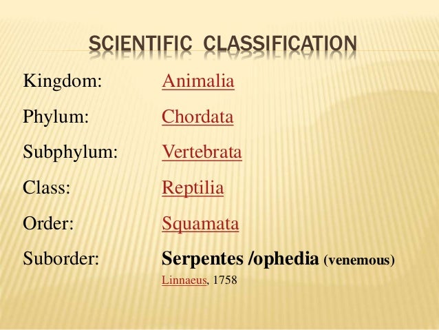 Snake Bite 2014 Handout Anmc