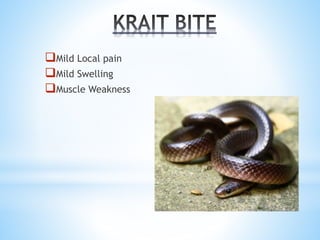 Snake bite and its management | PPTX
