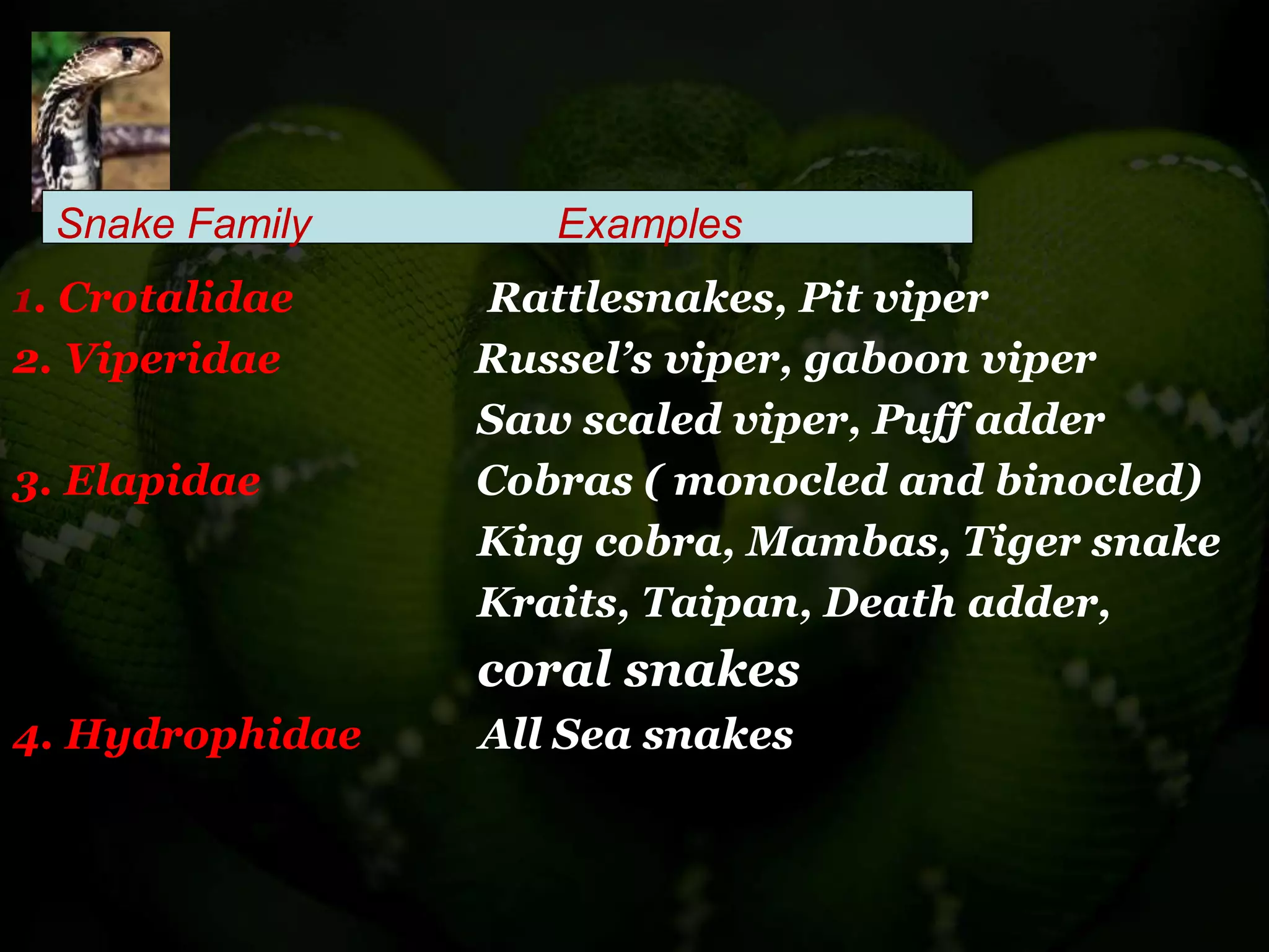 View of Snake bite and its management- Mayank Kumar Dubey (Forensic/DNA Expert ...