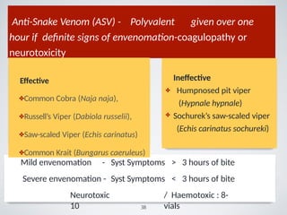 Anti-Snake Venom (ASV) - Polyvalent given over one
hour if deﬁnite signs of envenomation-coagulopathy or
neurotoxicity
Mild envenomation - Syst Symptoms > 3 hours of bite
Severe envenomation - Syst Symptoms < 3 hours of bite
Neurotoxic / Haemotoxic : 8-
10 vials
✤
✤
Ineﬀective
Humpnosed pit viper
(Hypnale hypnale)
Sochurek’s saw-scaled viper
(Echis carinatus sochureki)
Eﬀective
✤Common Cobra (Naja naja),
✤Russell’s Viper (Dabiola russelii),
✤Saw-scaled Viper (Echis carinatus)
✤Common Krait (Bungarus caeruleus)
38
 