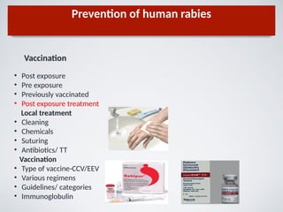 Prevention of human rabies
Vaccination
• Post exposure
• Pre exposure
• Previously vaccinated
• Post exposure treatment
Local treatment
• Cleaning
• Chemicals
• Suturing
• Antibiotics/ TT
Vaccination
• Type of vaccine-CCV/EEV
• Various regimens
• Guidelines/ categories
• Immunoglobulin
 