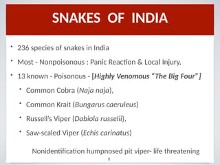 SNAKES OF INDIA
• 236 species of snakes in India
• Most - Nonpoisonous : Panic Reaction & Local Injury,
• 13 known - Poisonous - [Highly Venomous “The Big Four”]
• Common Cobra (Naja naja),
• Common Krait (Bungarus caeruleus)
• Russell’s Viper (Dabiola russelii),
• Saw-scaled Viper (Echis carinatus)
Nonidentification humpnosed pit viper- life threatening
8
 