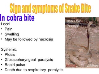 Local
• Pain
• Swelling
• May be followed by necrosis

Systemic
• Ptosis
• Glossopharyngeal paralysis
• Rapid pulse
• Death due to respiratory paralysis
 
