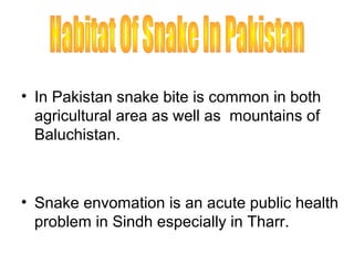 • In Pakistan snake bite is common in both
  agricultural area as well as mountains of
  Baluchistan.



• Snake envomation is an acute public health
  problem in Sindh especially in Tharr.
 