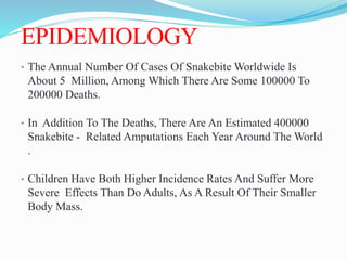 EPIDEMIOLOGY
• The Annual Number Of Cases Of Snakebite Worldwide Is
About 5 Million, Among Which There Are Some 100000 To
200000 Deaths.
• In Addition To The Deaths, There Are An Estimated 400000
Snakebite - Related Amputations Each Year Around The World
.
• Children Have Both Higher Incidence Rates And Suffer More
Severe Effects Than Do Adults, As A Result Of Their Smaller
Body Mass.
 