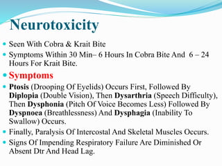 Neurotoxicity
 Seen With Cobra & Krait Bite
 Symptoms Within 30 Min– 6 Hours In Cobra Bite And 6 – 24
Hours For Krait Bite.
 Symptoms
 Ptosis (Drooping Of Eyelids) Occurs First, Followed By
Diplopia (Double Vision), Then Dysarthria (Speech Difficulty),
Then Dysphonia (Pitch Of Voice Becomes Less) Followed By
Dyspnoea (Breathlessness) And Dysphagia (Inability To
Swallow) Occurs.
 Finally, Paralysis Of Intercostal And Skeletal Muscles Occurs.
 Signs Of Impending Respiratory Failure Are Diminished Or
Absent Dtr And Head Lag.
 