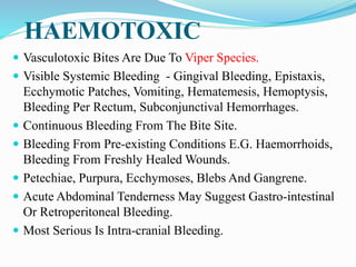 HAEMOTOXIC
 Vasculotoxic Bites Are Due To Viper Species.
 Visible Systemic Bleeding - Gingival Bleeding, Epistaxis,
Ecchymotic Patches, Vomiting, Hematemesis, Hemoptysis,
Bleeding Per Rectum, Subconjunctival Hemorrhages.
 Continuous Bleeding From The Bite Site.
 Bleeding From Pre-existing Conditions E.G. Haemorrhoids,
Bleeding From Freshly Healed Wounds.
 Petechiae, Purpura, Ecchymoses, Blebs And Gangrene.
 Acute Abdominal Tenderness May Suggest Gastro-intestinal
Or Retroperitoneal Bleeding.
 Most Serious Is Intra-cranial Bleeding.
 