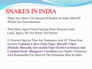SNAKES IN INDIA
• There Are About 236 Species Of Snakes In India, Most Of
Which Are Nonvenomous.
• Their Bites,Apart From Causing Panic Reaction And
Local Injury, Do Not Harm The Patient.
• 13 Known Species That Are Venomous And Of These Four,
Namely Common Cobra (Naja Naja), Russell’s Viper
(Dabiola Russelii), Saw-scaled Viper (Echis Carinatus) And
Common Krait (Bungarus Caeruleus) Are Highly Venomous
And Responsible For Most Of The Poisonous Bites In India.
 