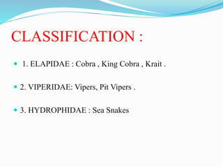 CLASSIFICATION :
 1. ELAPIDAE : Cobra , King Cobra , Krait .
 2. VIPERIDAE: Vipers, Pit Vipers .
 3. HYDROPHIDAE : Sea Snakes
 