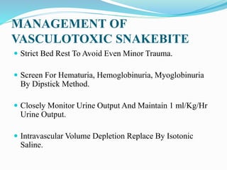 MANAGEMENT OF
VASCULOTOXIC SNAKEBITE
 Strict Bed Rest To Avoid Even Minor Trauma.
 Screen For Hematuria, Hemoglobinuria, Myoglobinuria
By Dipstick Method.
 Closely Monitor Urine Output And Maintain 1 ml/Kg/Hr
Urine Output.
 Intravascular Volume Depletion Replace By Isotonic
Saline.
 