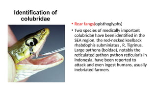 SNAKE BITE & EVENOMATION.pptx which helps | PPTX