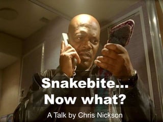 Snakebite…
Now what?
A Talk by Chris Nickson
 
