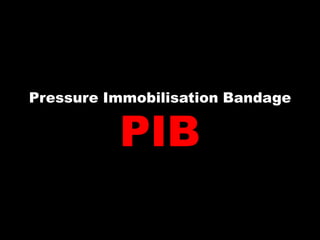 Pressure Immobilisation Bandage


          PIB
 