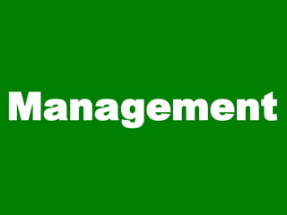 Management
 