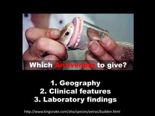 Which Antivenom to give?

          1. Geography
       2. Clinical features
     3. Laboratory findings
http://www.kingsnake.com/aho/species/extras/budden.html
 