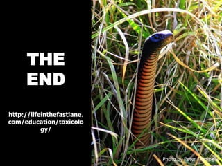 THE
      END
http://lifeinthefastlane.
com/education/toxicolo
           gy/



                            Photo by Peter Firminger
 