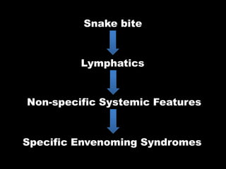 Snake bite


         Lymphatics


Non-specific Systemic Features


Specific Envenoming Syndromes
 