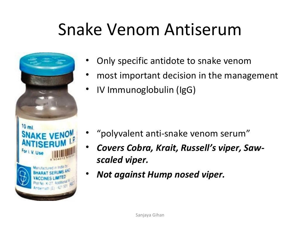 Snake bite,first aid, antivenom treatment and ward management