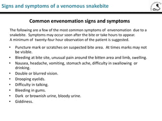 The ‘X’ mark shows the potential site of a snake bite
Saw-Scaled Viper
Common locations of snake bites
 