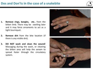 Drooping eyelids
Change in color of tissue around the bite area
Swelling in the limb
Blisters in the bite area
Images courtesy: Dr Sadanand Raut, M. D.
Saw-Scaled Viper
Signs and symptoms of a venomous snake bite
 