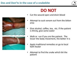DO NOT PANIC!
Do it R I G H T
R = Reassure
I = Immobilize
G & H = Go to Hospital
T = Tell the Doctor.
1. Remember that only 15 out of 290+ known
species of snakes can cause a serious health
problem.
2. Not all of them are common and found across
the county. So your chances of getting bitten by
a venomous snake are very low.
3. In case of a snake bite, ensure that the patient
remains clam and take control of the situation at
the earliest. A patient who is calm has much
higher chances of surviving a venomous snake
bite.
4. Even if you know that the snake in question is a
venomous snake, you should not announce that
to the patient. Provide the proper first aid and
move the patient to the hospital at the earliest,
preferably within the golden hour. Reassure him
and tell that you are just taking him to the
hospital for observation.
Saw-Scaled Viper
Dos and Don’ts in case of a snake bite
 