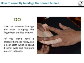 • Cut the wound open and drain blood
• Attempt to suck venom out from the bitten
area
• Give alcohol, coffee, tea etc. If the patient
is thirsty, give some water
• Walk or run if you are the patient. The
lesser the body movement, the better it is
• Apply traditional remedies or go to local
faith healer
• Attempt to find the snake who bit the
patient
Saw-Scaled Viper
Dos and Don’ts in case of a snake bite
DO NOT
 