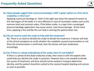 Saw-Scaled Viper
Frequently Asked Questions
1. Some people suggest that Pressure bandage is NOT a good option as a first aid to
snake bites ?
Applying pressure band or cloth in the right way will recue the spread of venom to the
vital organs of the body. It is very effective in case of neurotoxic snakes such as krait &
Cobra . If the bitten snake is a viper then the prolonged pressure bandage application
may cause severe local tissue damage.
2. Do we need to catch the snake to help the treatment ?
NO - There is no need to identify the snake to decide the treatment. A doctor will
look at the clinical symptoms to verify whether the snake bite caused envenomation or
not. Once the envenomation is confirmed, then the doctor will start medication.
3. So, If you have a dead snake / photo of the snake then is it helpful ?
If there is a photo of the dead snake / live snake then share it with the experts who
could help you in identification of the snake in question.
 