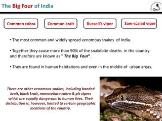 The trusted snake bite first aid which could save hundreds of snake bite victims
across India in the golden hour.
Everything you need to know about snake bites
 