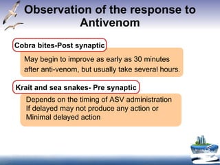 Observation of the response to Antivenom Cobra bites-Post synaptic May begin to improve as early as 30 minutes  after anti-venom, but usually take several hours .  Krait and sea snakes- Pre synaptic Depends on the timing of ASV administration If delayed may not produce any action or Minimal delayed action 