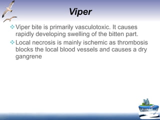 Viper Viper bite is primarily vasculotoxic. It causes rapidly developing swelling of the bitten part.  Local necrosis is mainly ischemic as thrombosis blocks the local blood vessels and causes a dry gangrene  