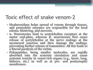 Toxic effect of snake venom-2
• Hyaluronidase helps spread of venom through tissues,
and proteolytic enzymes are responsible for the local
edema, blistering, and necrosis.
• α- Neurotoxins bind to acetylcholine receptors at the
motor end-plate, whereas β- neurotoxins first cause
release of acetylcholine at the nerve endings at the
myoneural junction and then damage the endings,
preventing further release of transmitter. All this leads to
a flaccid paralysis of the victim.
• Polypeptides, being smaller molecules, are rapidly
absorbed into the systemic circulation and cause
systemic toxicity in vessel-rich organs (e.g., heart, lung,
kidneys, etc.) as well as at pre- and postsynaptic
membranes.
 