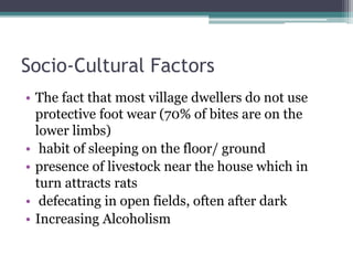 Socio-Cultural Factors
• The fact that most village dwellers do not use
protective foot wear (70% of bites are on the
lower limbs)
• habit of sleeping on the floor/ ground
• presence of livestock near the house which in
turn attracts rats
• defecating in open fields, often after dark
• Increasing Alcoholism
 