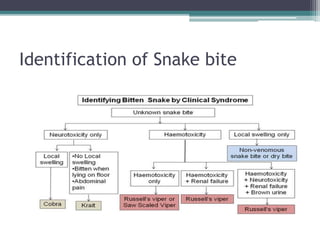 Identification of Snake bite
 