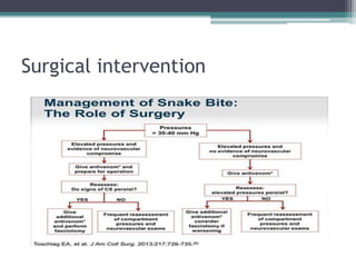 Surgical intervention
 
