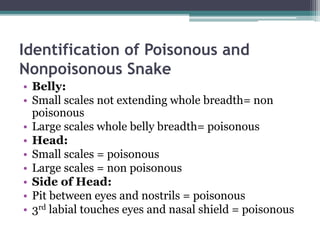 Identification of Poisonous and
Nonpoisonous Snake
• Belly:
• Small scales not extending whole breadth= non
poisonous
• Large scales whole belly breadth= poisonous
• Head:
• Small scales = poisonous
• Large scales = non poisonous
• Side of Head:
• Pit between eyes and nostrils = poisonous
• 3rd labial touches eyes and nasal shield = poisonous
 