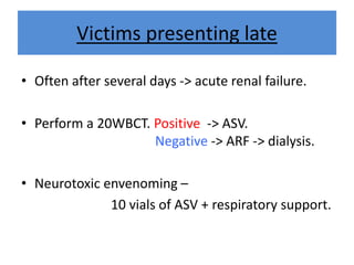 Victims presenting late
• Often after several days -> acute renal failure.
• Perform a 20WBCT. Positive -> ASV.
Negative -> ARF -> dialysis.
• Neurotoxic envenoming –
10 vials of ASV + respiratory support.
 