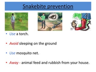 Snakebite prevention
• Use a torch.
• Avoid sleeping on the ground
• Use mosquito net.
• Away - animal feed and rubbish from your house.
 