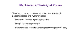 Mechanism of Toxicity of Venom
• The most common types of enzymes are proteolytic,
phospholipases and hyaluronidases
• Proteolytic Enzymes: digestive properties
• Phospholipases: degrade lipids
• Hyaluronidases: facilitates venom spread through out the body
 