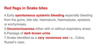 Red flags in Snake bites
4.Early spontaneous systemic bleeding especially bleeding
from the gums, bite site, haematuria, haemoptysis, epistaxis
or ecchymoses.
5.Unconsciousness either with or without respiratory arrest.
6.Passage of dark brown urine
7.Snake identified as a very venomous one i.e., Cobra,
Russel’s viper.
 