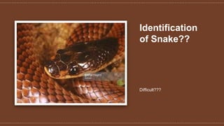 Identification
of Snake??
Difficult???
 