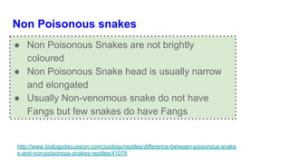 Non Poisonous snakes
● Non Poisonous Snakes are not brightly
coloured
● Non Poisonous Snake head is usually narrow
and elongated
● Usually Non-venomous snake do not have
Fangs but few snakes do have Fangs
http://www.biologydiscussion.com/zoology/reptiles/difference-between-poisonous-snake
s-and-non-poisonous-snakes-reptiles/41078
 
