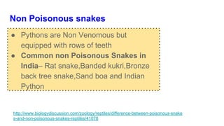 Non Poisonous snakes
● Pythons are Non Venomous but
equipped with rows of teeth
● Common non Poisonous Snakes in
India– Rat snake,Banded kukri,Bronze
back tree snake,Sand boa and Indian
Python
http://www.biologydiscussion.com/zoology/reptiles/difference-between-poisonous-snake
s-and-non-poisonous-snakes-reptiles/41078
 