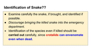 Identification of Snake??
● Examine carefully the snake, if brought, and identified if
possible.
● Discourage bringing the killed snake into the emergency
department.
● Identification of the species even if killed should be
carried out carefully, since crotalids can envenomate
even when dead.
 
