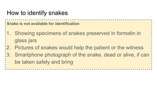 How to identify snakes
Snake is not available for identification
1. Showing specimens of snakes preserved in formalin in
glass jars
2. Pictures of snakes would help the patient or the witness
3. Smartphone photograph of the snake, dead or alive, if can
be taken safely and bring
 