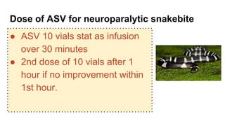 Dose of ASV for neuroparalytic snakebite
● ASV 10 vials stat as infusion
over 30 minutes
● 2nd dose of 10 vials after 1
hour if no improvement within
1st hour.
 