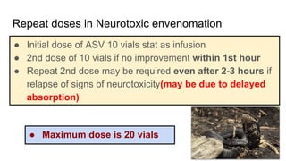Repeat doses in Neurotoxic envenomation
● Initial dose of ASV 10 vials stat as infusion
● 2nd dose of 10 vials if no improvement within 1st hour
● Repeat 2nd dose may be required even after 2-3 hours if
relapse of signs of neurotoxicity(may be due to delayed
absorption)
● Maximum dose is 20 vials
 