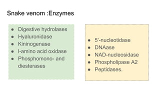 Snake venom :Enzymes
● Digestive hydrolases
● Hyaluronidase
● Kininogenase
● l-amino acid oxidase
● Phosphomono- and
diesterases
● 5’-nucleotidase
● DNAase
● NAD-nucleosidase
● Phospholipase A2
● Peptidases.
 