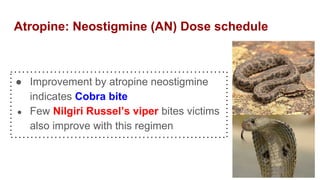 Atropine: Neostigmine (AN) Dose schedule
● Improvement by atropine neostigmine
indicates Cobra bite
● Few Nilgiri Russel’s viper bites victims
also improve with this regimen
 