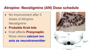 Atropine: Neostigmine (AN) Dose schedule
● No improvement after 3
doses of Atropine
Neostigmine
● Probable Krait bite
● Krait affects Presynaptic
fibres where calcium ion
acts as neurotransmitter
 